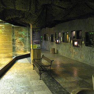 Usti nad Labem Aqua-Terraium Visitor Room