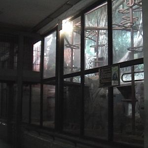 Great Apes Indoor Enclosure