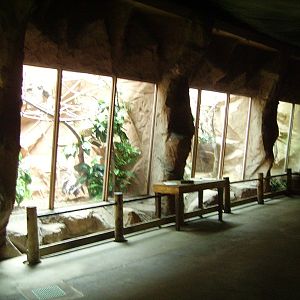 Small Mammal Exhibits