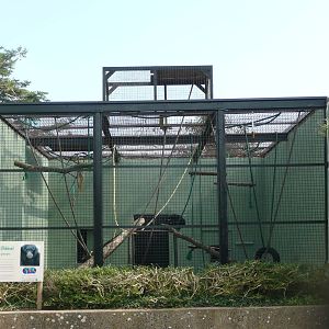 Manor House Wildlife Park siamang cage