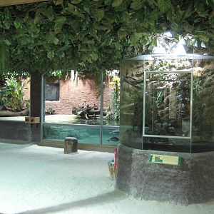 Reptilezoo Landau. View to the Croc Exhibit