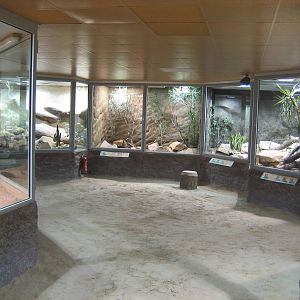 Reptilezoo Landau. The Desert area