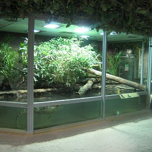 Reptilezoo Landau. Water Monitor exhibit