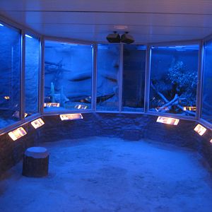 Reptilezoo Landau. The Nocturnalhouse