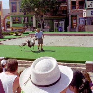 Bird Show at Sea World CA, 1998
