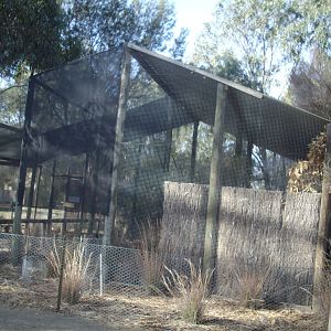 Owl Aviaries at Kyabram Fauna Park