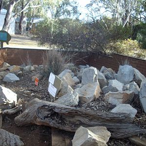 Echidna Exhibit at Kyabram Fauna Park