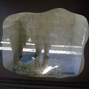 Kyabram Fauna Park Wombat Indoor exhibit