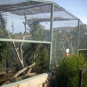 Kyabram Fauna Parks Quoll Exhibit