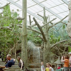 Roadhouse Aviary - Australia and the Islands