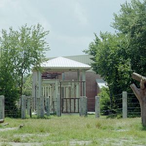 Elephant Restraint Device