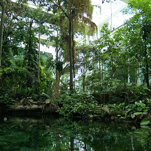 Cosmocaixa - Amazon forest