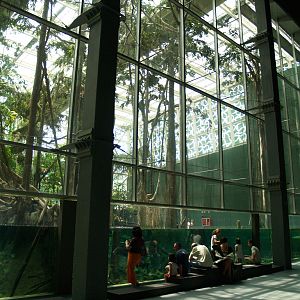 Cosmocaixa - Amazon forest