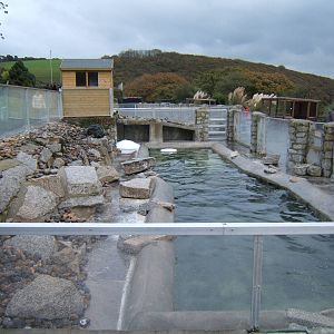 Hooded Seal enclosure