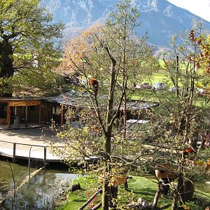 Mountain with red Panda Exhibit