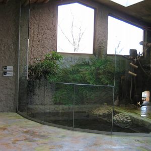 Inside the South america Monkeyhouse