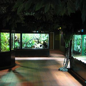 Reptilezoo Visitor Room