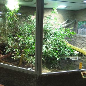 Reptilezoo Landau Anaconda Exhibit