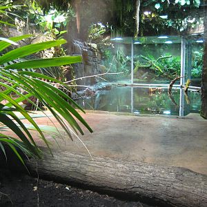 Reptilezoo Landau.Crocodile Exhibit