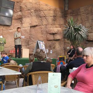 Reptilezoo Landau. Animal presentation