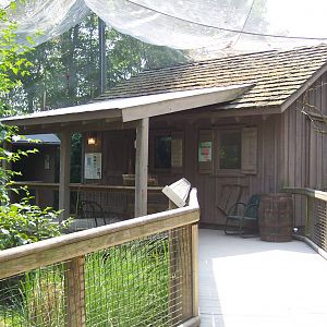 Migratory Songbird Aviary