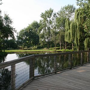 Moose Exhibit View from Moose Lake Boardwalk
