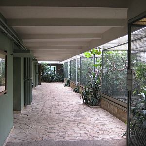 The Hornbill Section