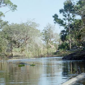 Kayak Trail - Expedition Africa
