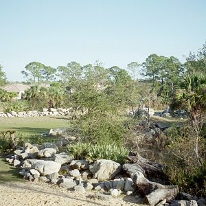 Savanna Yard - Expedition Africa