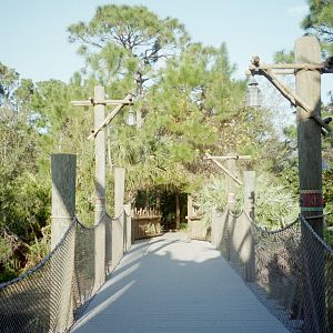 Bridge from Expedition Africa