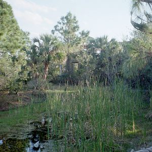 Bird and Small Hoofstock Yard - Expedition Africa