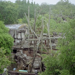 Orangutan Exhibit - Primate World