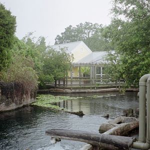 Florida Manatee Pools - Manatee and Aquatic Center