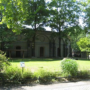 Mrs. Gray Waterbuck Exhibit