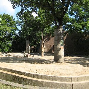 Elephant bull exhibit