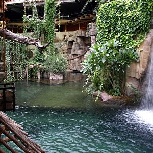 Tropen Aquarium - Crocodile exhibit