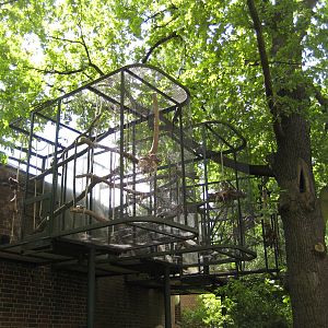 Tamarin outdoor cages