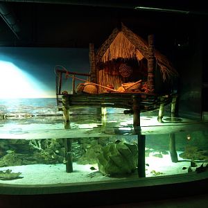 Tropen Aquarium - Tropical sea aquarium