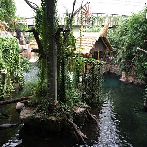 Tropen Aquarium - Tropical hall