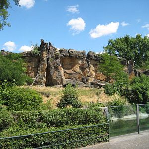 Part of the lion exhibit