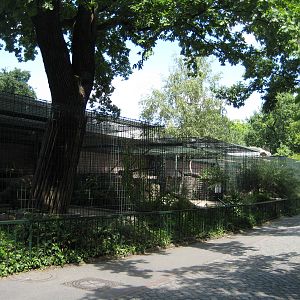 Lion House Outdoor Cages