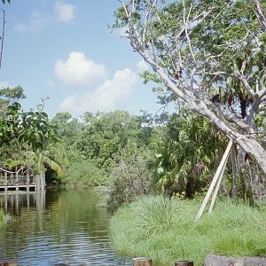 Spider Monkey and Capuchin Islands - Tropics of the Americas