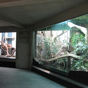 Jaguarundi and Tayra Exhibits