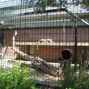Leopard Outdoor cage