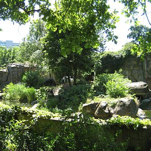 Tiger Enclosure