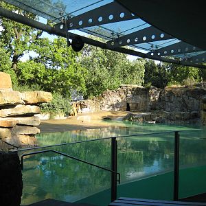 Exhibit for south african furseals.