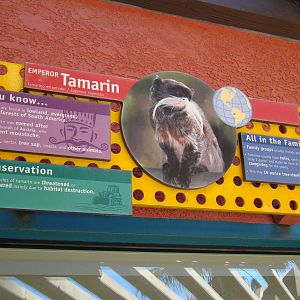 Emperor Tamarin exhibit sign