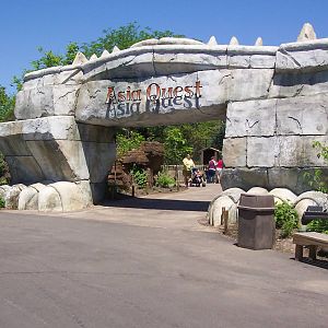 Asia Quest Entry