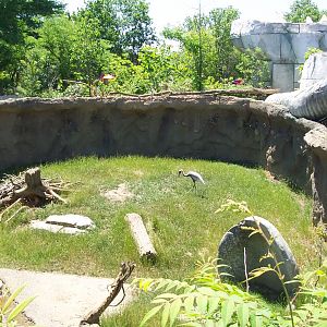 Second Crane/Deer Yard