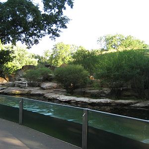 Esxhibit for Humboldt penguins